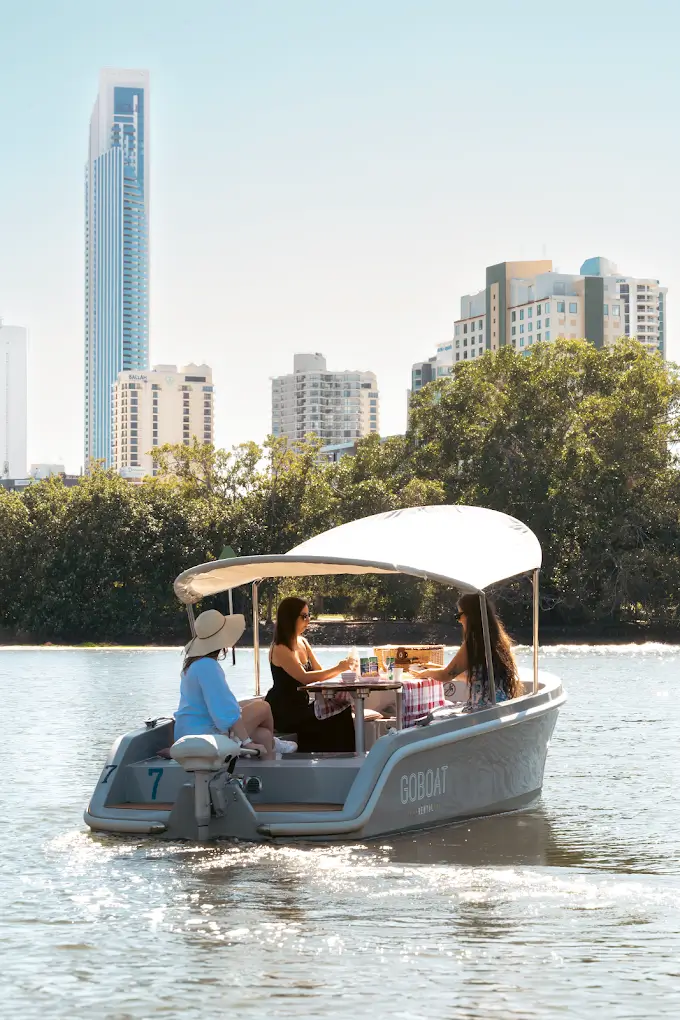 GoBoat Picnic Boat